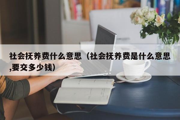 社会抚养费什么意思（社会抚养费是什么意思,要交多少钱）